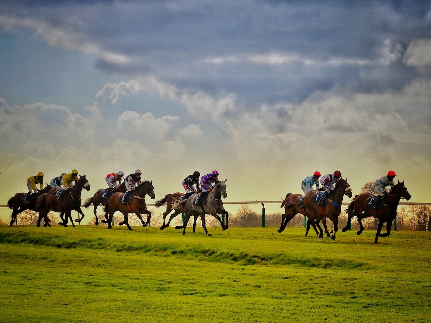 Chepstow Racecourse, @Lorna_S_photography